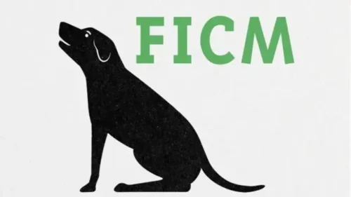 ¡El FICM 2025 se posiciona a favor de Gaza y Ucrania!